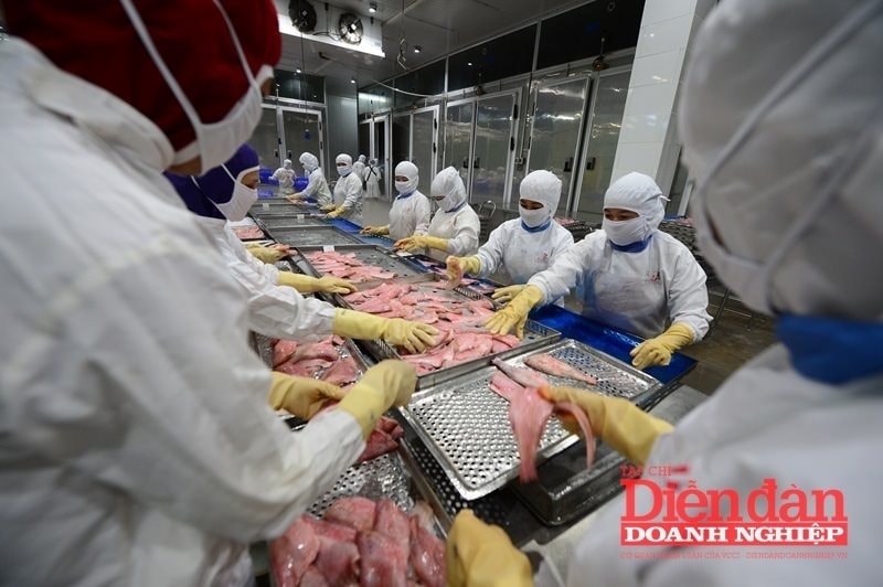 Xuất khẩu nông, lâm, thủy sản 9 tháng: Chất lượng mở lối tăng trưởng