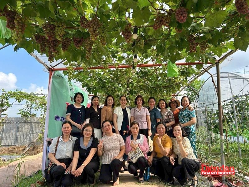 Nữ kỹ sư Nông nghiệp "thắp lửa" khởi nghiệp xanh