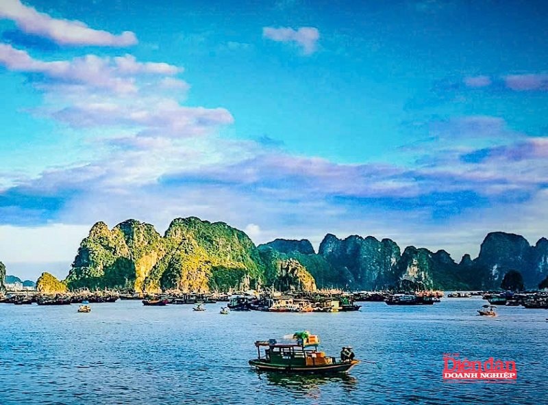 Cùng cả nước đẩy nhanh tiến độ gỡ "thẻ vàng" IUU