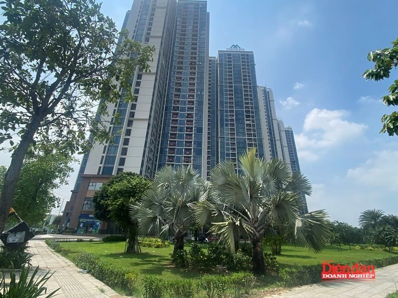 Bất động sản TP HCM: Thanh khoản tăng nhờ dòng vốn và nhu cầu thực