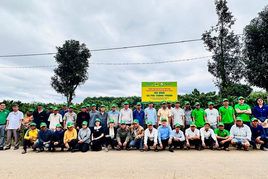 Hệ thống Canh tác Cà phê Thông minh – Vai trò tích hợp của Công nghệ và Phân bón