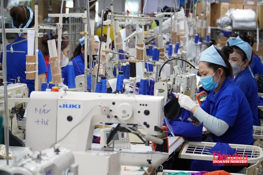 Khánh Hòa “lên dây cót” cho mục tiêu tăng trưởng cuối năm