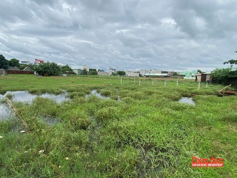 Thu tiền sử dụng đất quá cao, người dân phải “mua lại” đất của chính mình