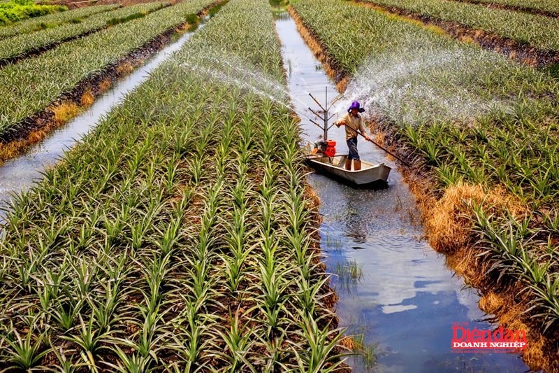 Sửa 15 luật lĩnh vực nông nghiệp và môi trường: Khơi nguồn lực phát triển