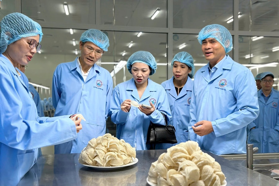 Thứ trưởng Bộ Nội vụ và Đoàn đại biểu Trung ương tham quan Nhà máy Chế biến Nguyên liệu Yến sào Sanvinest Khánh Hòa