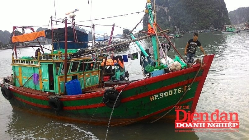 Thủ tướng chỉ đạo cương quyết “tuyên chiến” với khai thác IUU