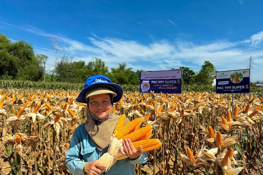 Công nghệ chỉnh sửa gen – động lực mới ngành nông nghiệp chờ thể chế