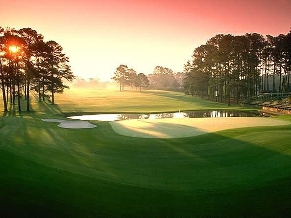 Vin New Horizon Cần Giờ: mở ra kỷ nguyên “chủ động sống khỏe” của thế hệ tuổi vàng tại Việt Nam