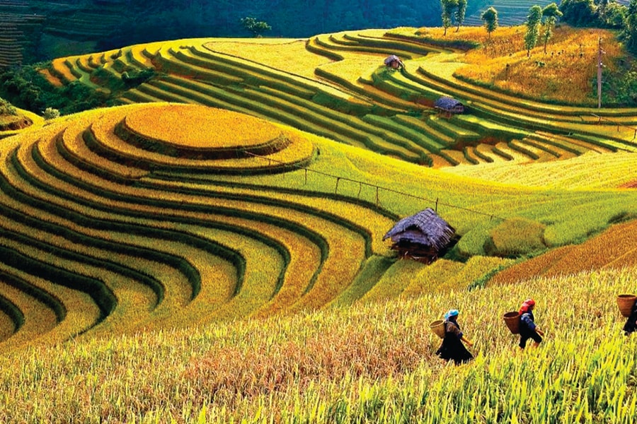 Xúc tiến quảng bá du lịch Lào Cai: Khi công nghệ số song hành cùng hợp tác