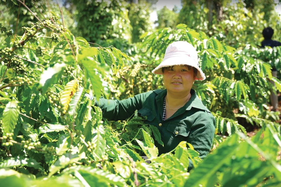 Nữ nông dân Tây Nguyên tự tin kiến tạo tương lai