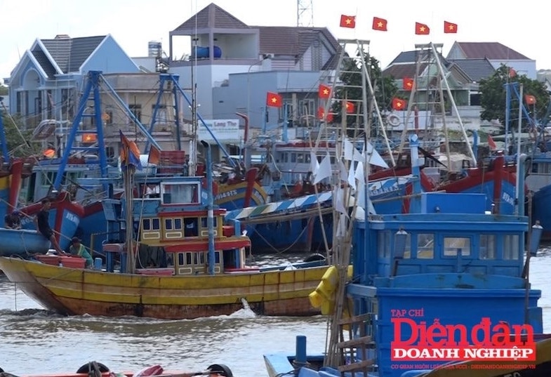 Thủy sản Việt Nam trước thời khắc quyết định gỡ thẻ vàng IUU