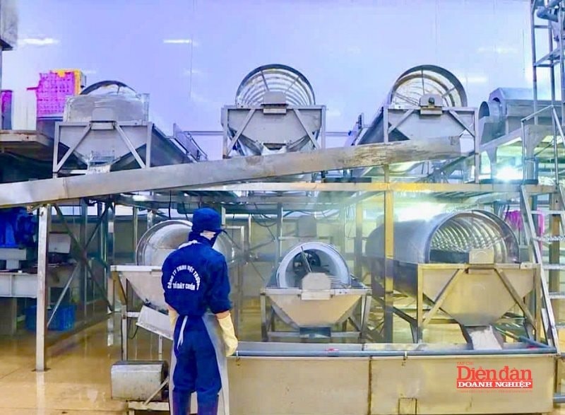 Hải Phòng đẩy mạnh công nghệ cao, để phát triển thủy sản và bảo vệ môi trường