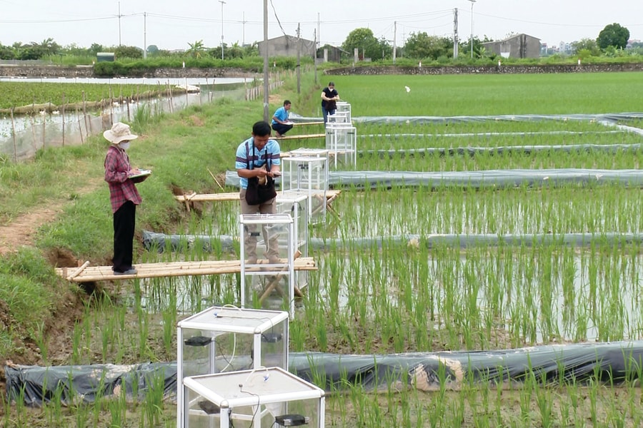 Đầu tư nâng cao giá trị nông nghiệp: Dư địa tiềm năng tạo cơ hội lớn