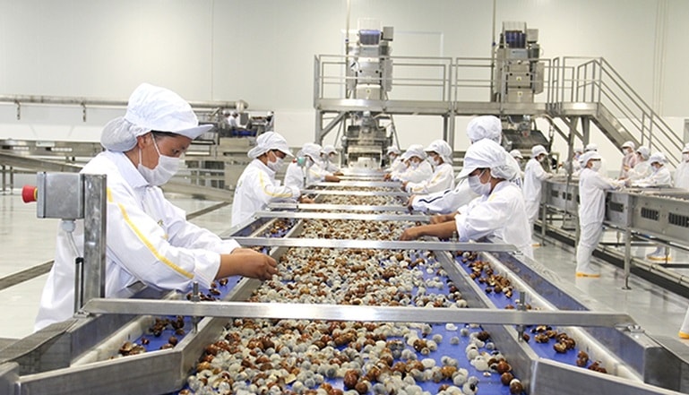 Chế biến sâu - nâng tầm nông sản Việt: Lối ra khỏi “cái bẫy xuất thô”