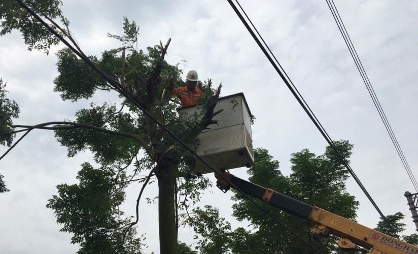 Công ty Điện lực Hưng Yên không ngừng nỗ lực đảm bảo an toàn hành lang lưới điện