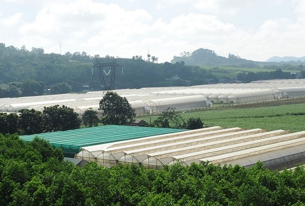 Khoảng lặng 5 năm và “nổi sợ” nhân lực khoa học công nghệ Thanh Hóa