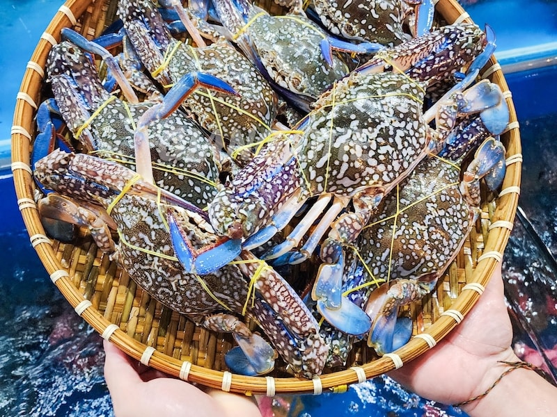 Doanh nghiệp xuất khẩu ghẹ sang Mỹ làm sao "thoát hiểm"?