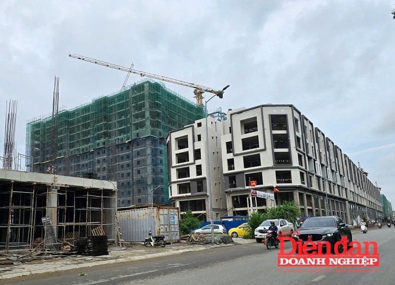 Hải Phòng chấp thuận nhà đầu tư dự án nhà ở xã hội gần 700 căn