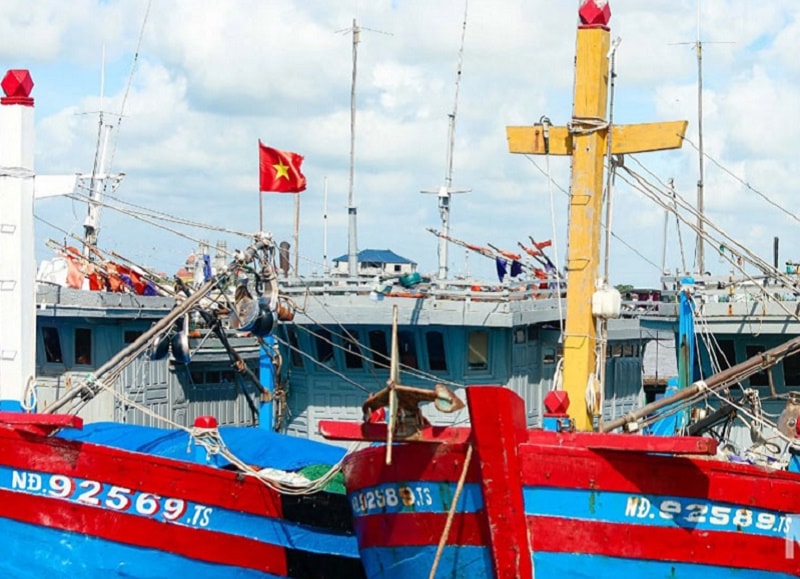 Ninh Bình đẩy mạnh kiểm soát tàu cá, đảm bảo truy xuất nguồn gốc