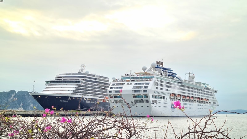 Quảng Ninh: Nâng tầm vị thế trên bản đồ du lịch biển cao cấp quốc tế