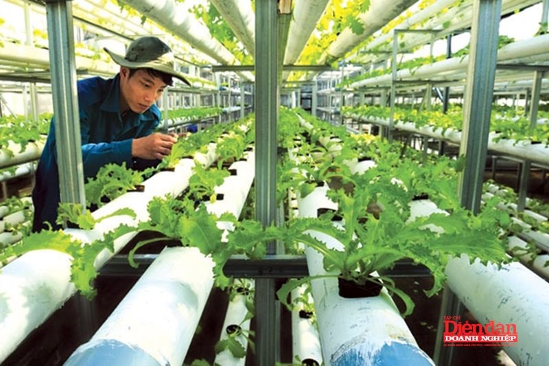 Sửa Luật Công nghệ cao: Cần giữ "mảnh ghép" nông nghiệp công nghệ cao