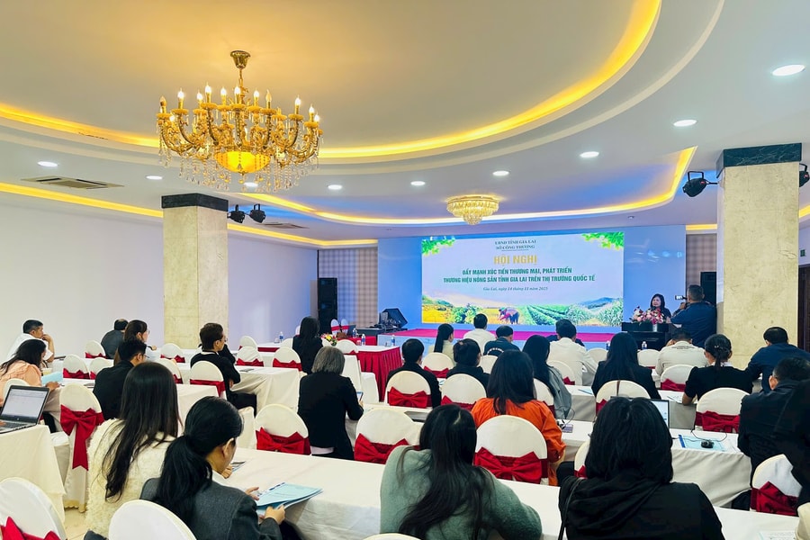 Cà phê Gia Lai hiện có mặt ở hơn 60 quốc gia