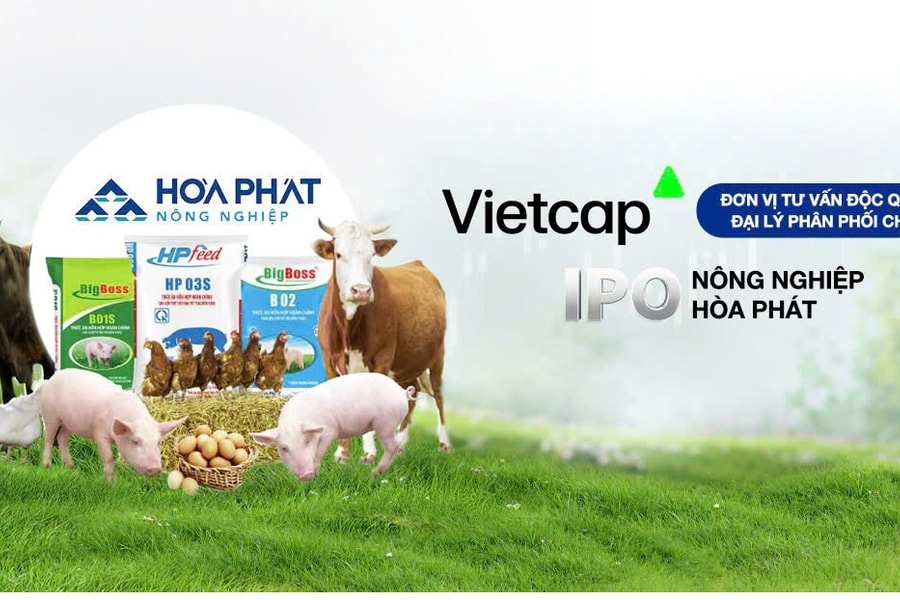Nông nghiệp Hoà Phát (HPA): IPO 30 triệu cổ phiếu giá 41.900 đồng/cp