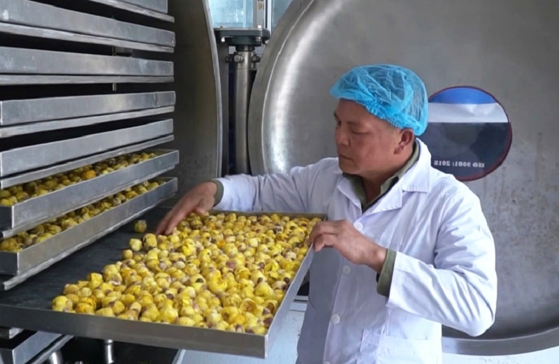 Chuyển đổi số: Đòn bẩy giúp doanh nghiệp Quảng Ninh tăng tốc sản xuất