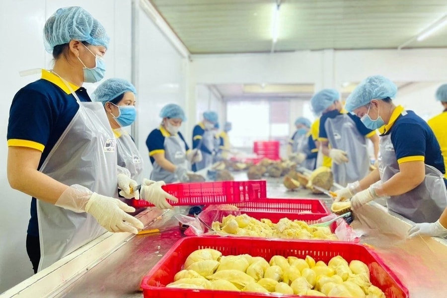 Xuất khẩu rau quả: chuyển lợi thế thuế quan thành lợi thế chất lượng