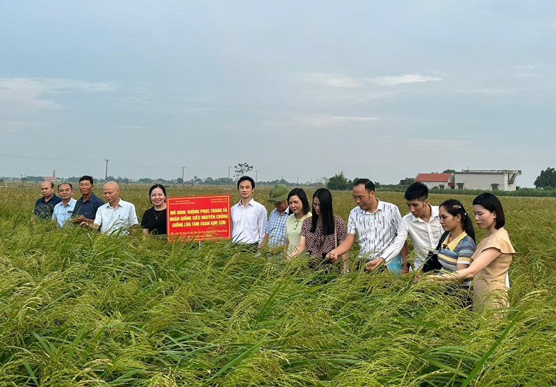 Khoa học công nghệ "Chìa khóa vàng" nâng cao sức cạnh tranh nông sản Ninh Bình