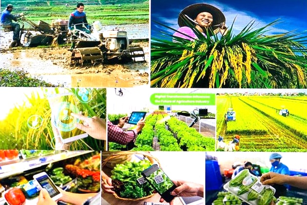 Sửa đổi Luật Thuế GTGT: Gỡ vướng hoàn thuế, khơi thông vốn cho nông nghiệp