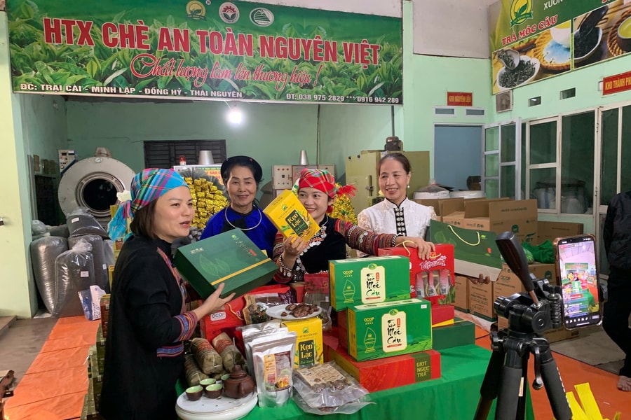 Thí điểm hỗ trợ hộ kinh doanh chuyển đổi số