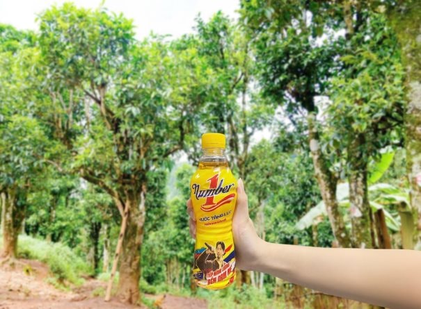 Khi lửa đam mê trà Shan tuyết của cô gái Việt đang từng bước vươn ra thế giới