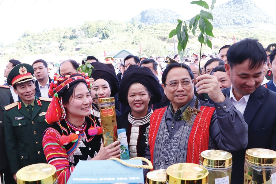 Lai Châu: Xây dựng Nền nông nghiệp tích hợp đa giá trị