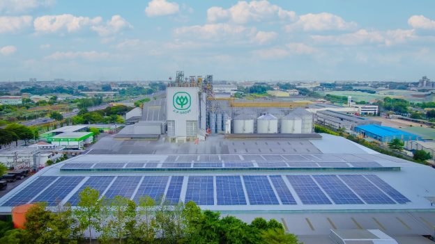 C.P. Việt Nam đạt cột mốc 1,5 triệu cây xanh trong chiến lược ESG dài hạn