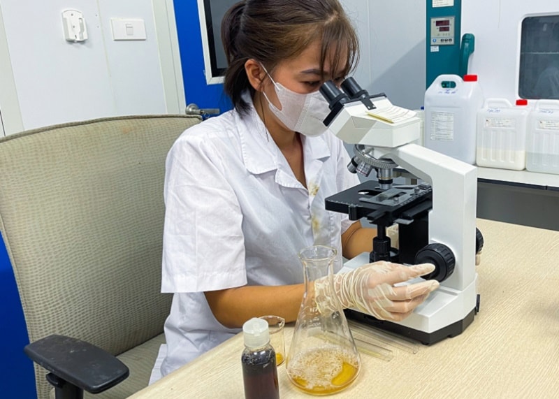 Quảng Ninh 'thay áo' cho nông sản bằng công nghệ 4.0