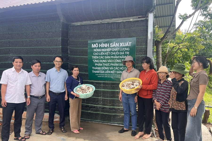 Khởi nghiệp Quốc gia 2025: Dự án trồng nấm ăn - nấm dược liệu dưới mái pin năng lượng mặt trời lọt Top 20 dự án xuất sắc
