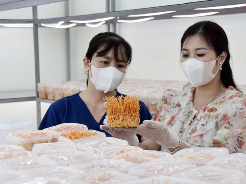 Quảng Ninh đồng hành ba chiều - bệ phóng cho khởi nghiệp sáng tạo