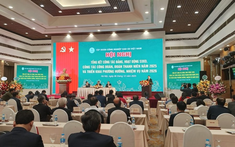 Vượt “bão” thời tiết và thị trường, VRG đạt tăng trưởng ấn tượng năm 2025