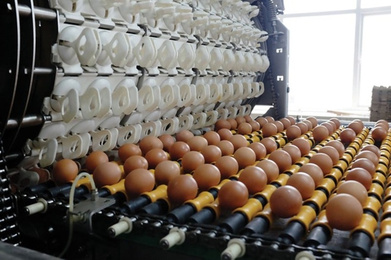 Dòng tiền "cá mập" đổ vào đợt IPO cổ phiếu HPA