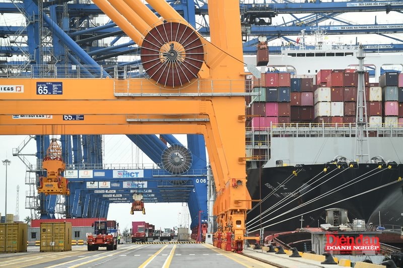 VCCI đề xuất tăng khung giá bốc dỡ container 8,4%