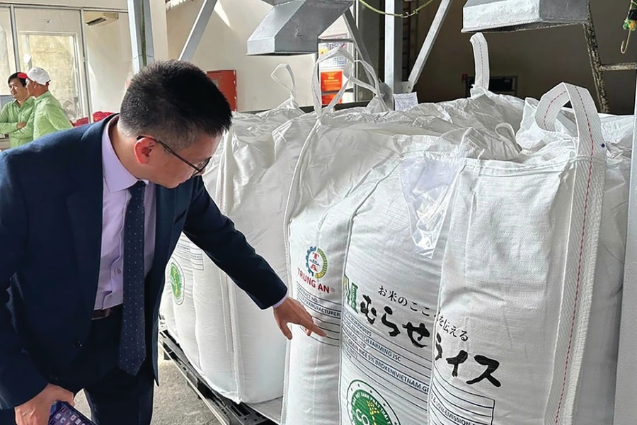 Gạo Việt nhập “làn đua xanh”