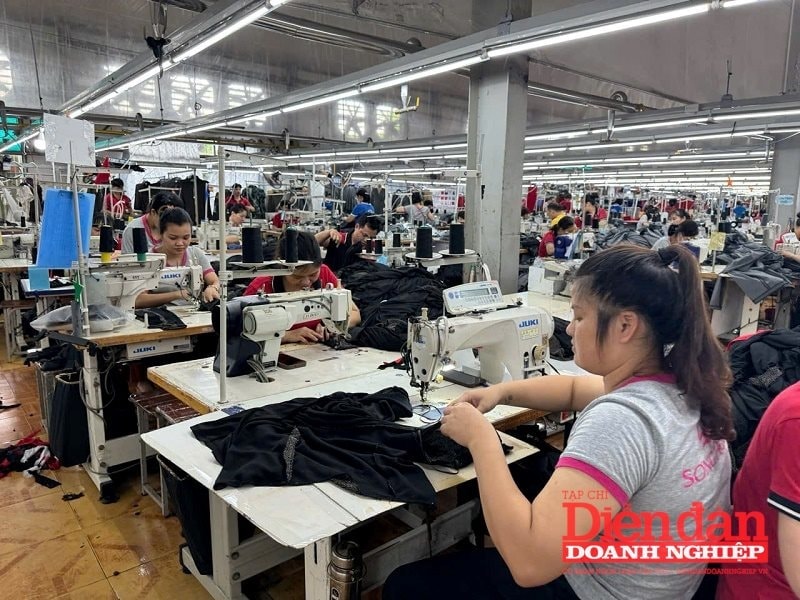 Ninh Bình bứt phá xuất khẩu nhờ đòn bẩy số hóa toàn diện