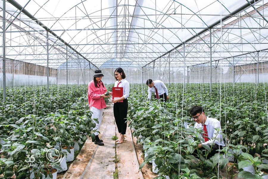 Mở rộng, thúc đẩy tăng trưởng tín dụng xanh: Giải pháp nào?