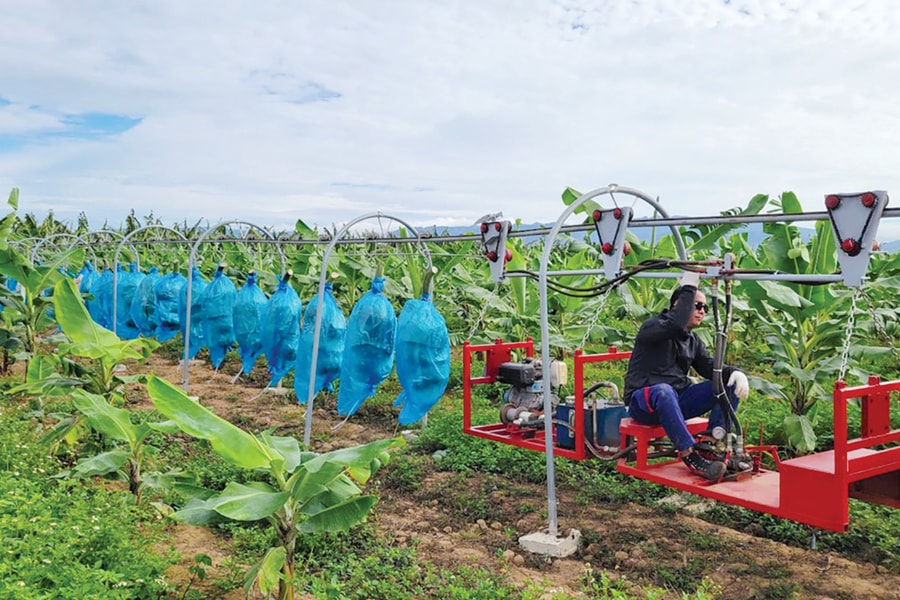 Doanh nghiệp chế biến nông sản: Đầu tư công nghệ, hướng tới chuỗi giá trị bền vững