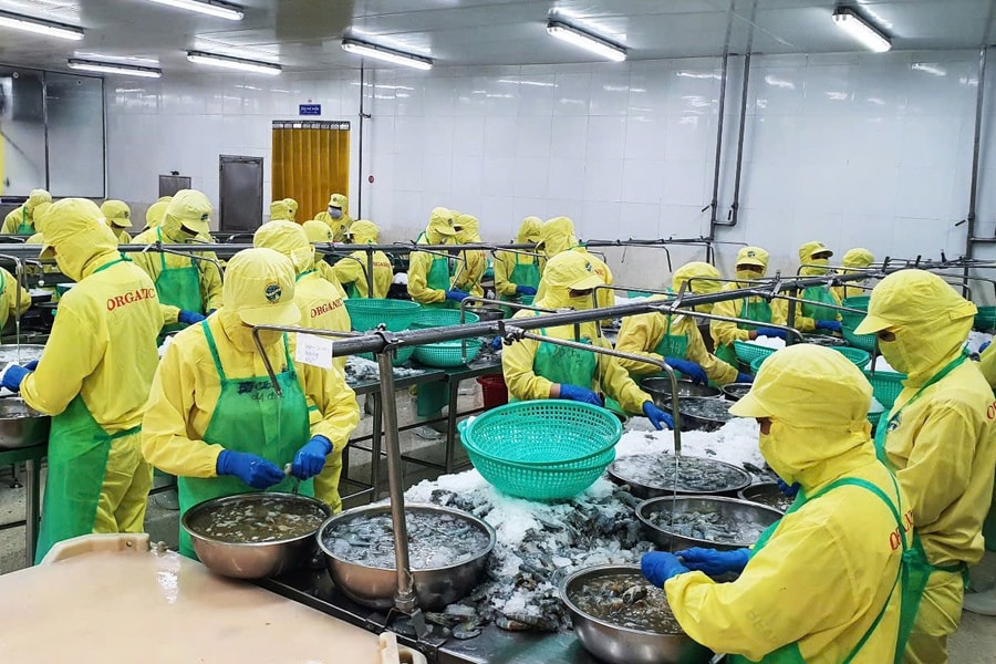 Cà Mau: Đột phá thu hút đầu tư, phát triển kinh tế