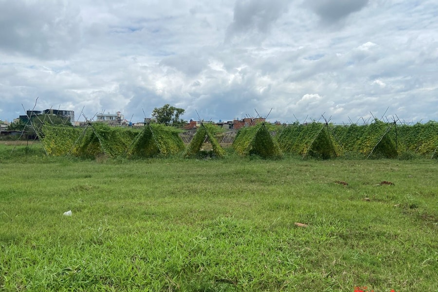 TP HCM: 42 doanh nghiệp được thí điểm làm nhà ở thương mại trên đất nông nghiệp