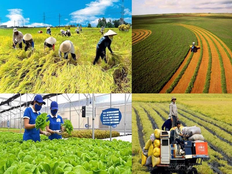 ADB - BIDV ký kết gói tài chính hợp vốn 250 triệu USD, hỗ trợ nông nghiệp bền vững