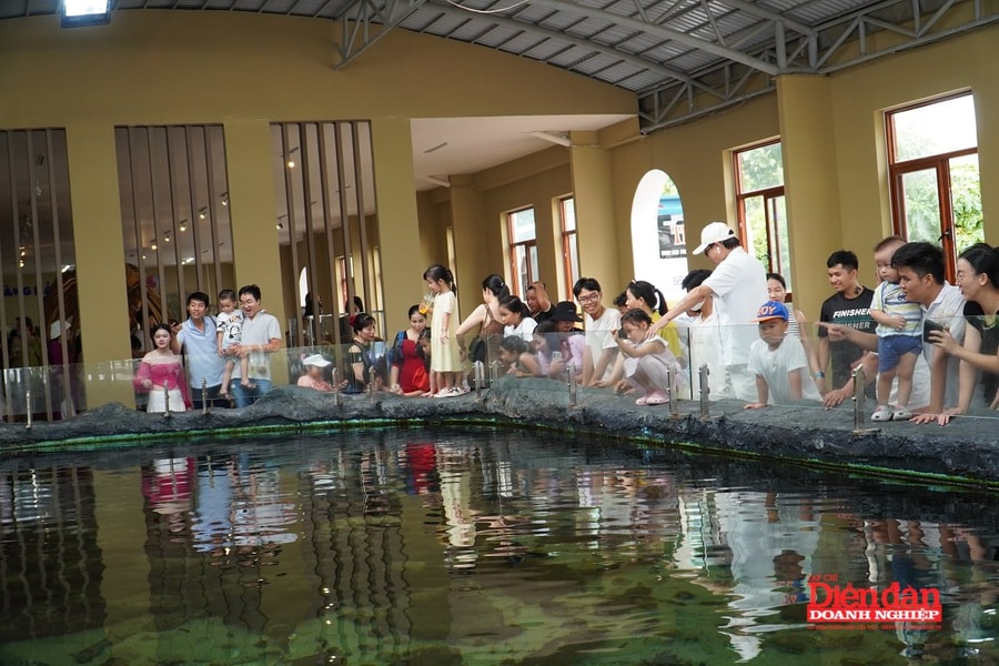 Phấn đấu đưa Khánh Hòa trở thành trung tâm du lịch quốc tế