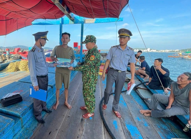 Quyết tâm gỡ thẻ vàng: Hải Phòng hành động vì một ngành cá trách nhiệm
